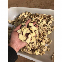 BOTANICAL GINGER FORCE / NATURAL JUICE & CONCENTRATE