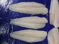 WHOLE-CUT PANGASIUS FILLET / BODY STRENGTH / CLEAN LABEL / OCEAN FRIENDLY