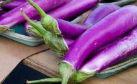RAW FROZEN EGGPLANT / GUT HEALTH / CLEAN LABEL / PLANT-BASED