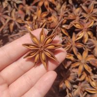NATURAL STAR ANISE SPICE / PLANT-DERIVED / CLEAN LABEL 