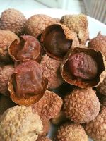 NATURALLY SWEET DRIED LYCHEE / CLEAN LABEL / PLANT-BASED GOODNESS