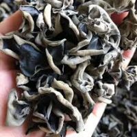 DRIED BLACK FUNGUS / VEGAN FRIENDLY / CLEAN INGREDIENTS / NO ADDITIVES