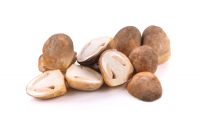 STRAW MUSHROOM WHOLE / CLEAN LABEL / PLANT-BASED INGREDIENT / NATURAL SOURCE