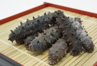 WILD SEA CUCUMBER PRODUCT / AIR-DRIED / SUSTAINABLY PROCESSED