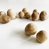 WHOLE STRAW MUSHROOMS / NO PRESERVATIVES / PLANT-DERIVED / SIMPLE INGREDIENTS