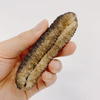 NATURAL DRIED SEA CUCUMBER MARINE SOURCE / NON-ENHANCED / PURELY PREPARED