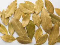 BAY LEAVES FOR COOKING / NATURAL DRYING / PLANT GOODNESS / NO PRESERVATIVES