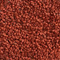 ANNATTO SEEDS NATURAL COLORANT / CLEAN LABEL / PLANT-BASED INGREDIENT