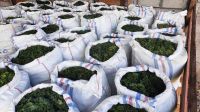 NATURAL ULVA SEAWEED / AIR-DRIED / CLEAN INGREDIENT / OCEAN PLANT PRODUCT