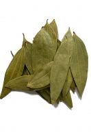 CULINARY BAY LEAVES / CLEAN ORIGIN / HIGH QUALITY / PLANT-BASED PRODUCT