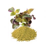 NATURAL PERILLA POWDER / PLANT DERIVED / NO PRESERVATIVES / FINE GRADE