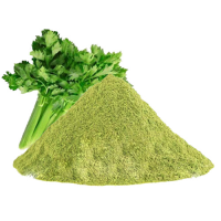 RAW CELERY JUICE POWDER / ALKALINE BOOST / CLEAN LABEL / EARTH-GROWN