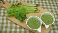 GREEN CELERY CONCENTRATE / HYDRATION AID / CLEAN FORMULA / WHOLE PLANT