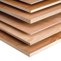 SUSTAINABLE PLYWOOD SHEET / CLEAN EDGE / ECO CONSTRUCTION MATERIAL