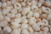 PREMIUM IQF LYCHEE / NON-GMO / VEGAN FRIENDLY / PURE FRUIT FLAVOR