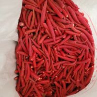 FREEZE-DRIED CHILI / METABOLIC SUPPORT / 100% PLANT / NO ADDITIVES