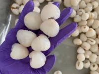 FRESH-FROZEN LYCHEE / PLANT ORIGIN / NO PRESERVATIVES / READY TO USE