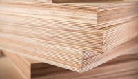 PLYWOOD FOR FURNITURE & DECOR / PLANT-BASED GLUE OPTION / DURABLE LAYERS