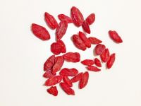 RED SEED ENERGY / GOJI BOOST / WHOLE PLANT BENEFIT / CLEAN FUNCTIONAL FOOD