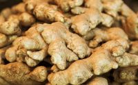 GINGER FREEZE DRY / IMMUNITY BOOST / CLEAN LABEL / ANTIOXIDANT-RICH