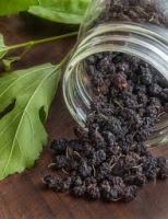 SOFT DRIED MULBERRIES / 100% FRUIT / VEGAN / NO ADDED SUGAR