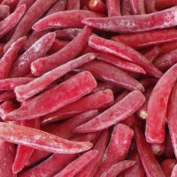 FROSTED CHILI ESSENCE / METABOLIC SUPPORT / ORGANIC / VEGAN