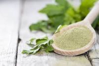 GREEN CELERY POWDER / NON-GMO / CLEANLY PROCESSED / HIGH QUALITY