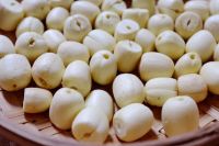 PURE SEED SNACK / LOTUS POWER / PLANT ORIGIN / GUT FRIENDLY