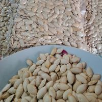 HEALTHY ROASTED PUMPKIN SEEDS / ZINC POWER / ANTIOXIDANT-RICH / GUT FRIENDLY