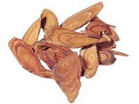 NATURAL SPATHOLOBI EXTRACT / BLOOD BOOST / CLEAN LABEL / ANTIOXIDANT-RICH
