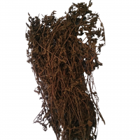 GRASS JELLY LEAVES / HERBAL DETOX / CLEAN LABEL / COLD BREW FRIENDLY