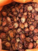 WILD DOCYNIA FRUIT SLICES / NATURAL SOURCE / ADDITIVE-FREE / FOOD GRADE