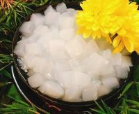 NATA DE COCO IN SYRUP / NATURAL ORIGIN / READY FOR DESSERTS