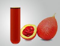 ORGANIC GAC OIL / IMMUNE DEFENSE / CLEAN NUTRITION / MINIMALLY PROCESSED