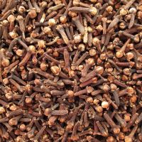 DRIED CLOVES / CLEAN LABEL / PLANT-BASED / NATURAL SPICE PODS