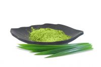 FRESH PANDAN POWDER / IMMUNE SUPPORT / CLEAN LABEL / HIGH ANTIOXIDANTS