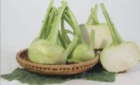 FROZEN KOHLRABI BITES / WHOLE PLANT POWER / CRISPY TEXTURE / NUTRIENT DENSE