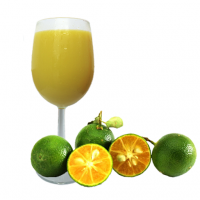 WHOLE FRUIT CALAMANSI PUREE / IMMUNE SUPPORT / CLEAN LABEL / RICH IN VITAMIN C