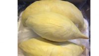 FROZEN DURIAN PULP / CLEAN LABEL / PLANT-BASED / READY TO SERVE