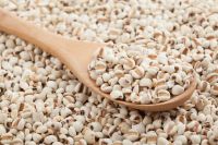 ORGANIC COIX SEED / CLEAN LABEL / WELLNESS GRAIN / SKIN SUPPORT