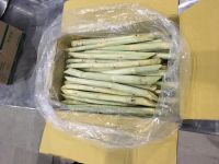 VIETNAMESE FROZEN SUGARCANE / FOOD GRADE / CLEAN LABEL / HAND CUT