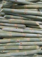 FROZEN SUGARCANE STICKS / CLEAN LABEL / PLANT-BASED / NATURAL SWEETNESS