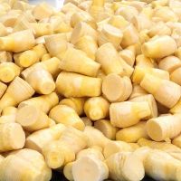 NATURAL FROZEN BAMBOO SHOOT / HIGH FIBER / CLEAN LABEL / CRISP TEXTURE