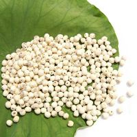 ORGANIC DRIED LOTUS SEED / IMMUNITY SUPPORT / NO ADDITIVES / HIGH FIBER