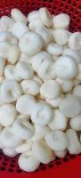 PREMIUM SLICED WATER CHESTNUT / LOW CALORIE, HIGH FIBER / 100% NATURAL, READY TO EAT / PRODUCT OF VIETNAM