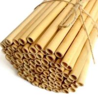 ECO-FRIENDLY BAMBOO DRINKING STRAWS / CLEANLY CRAFTED / NON-TOXIC