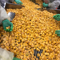 FROZEN PUMPKIN CUBES / CLEAN LABEL / PLANT-BASED / READY TO COOK