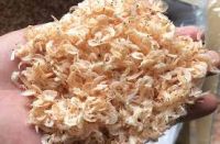 DRIED SEAFOOD MINI SHRIMP / CULINARY USE / CLEAN & READY TO EAT