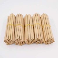 PLANT-BASED BAMBOO STRAWS / BIODEGRADABLE / PLASTIC-FREE CHOICE