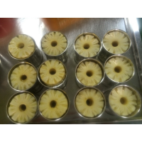 FRESH HARVEST CANNED PINEAPPLE / RICH IN FIBER, LOW FAT / NATURAL SWEETNESS, GOLDEN COLOR / PRODUCT OF VIETNAM
